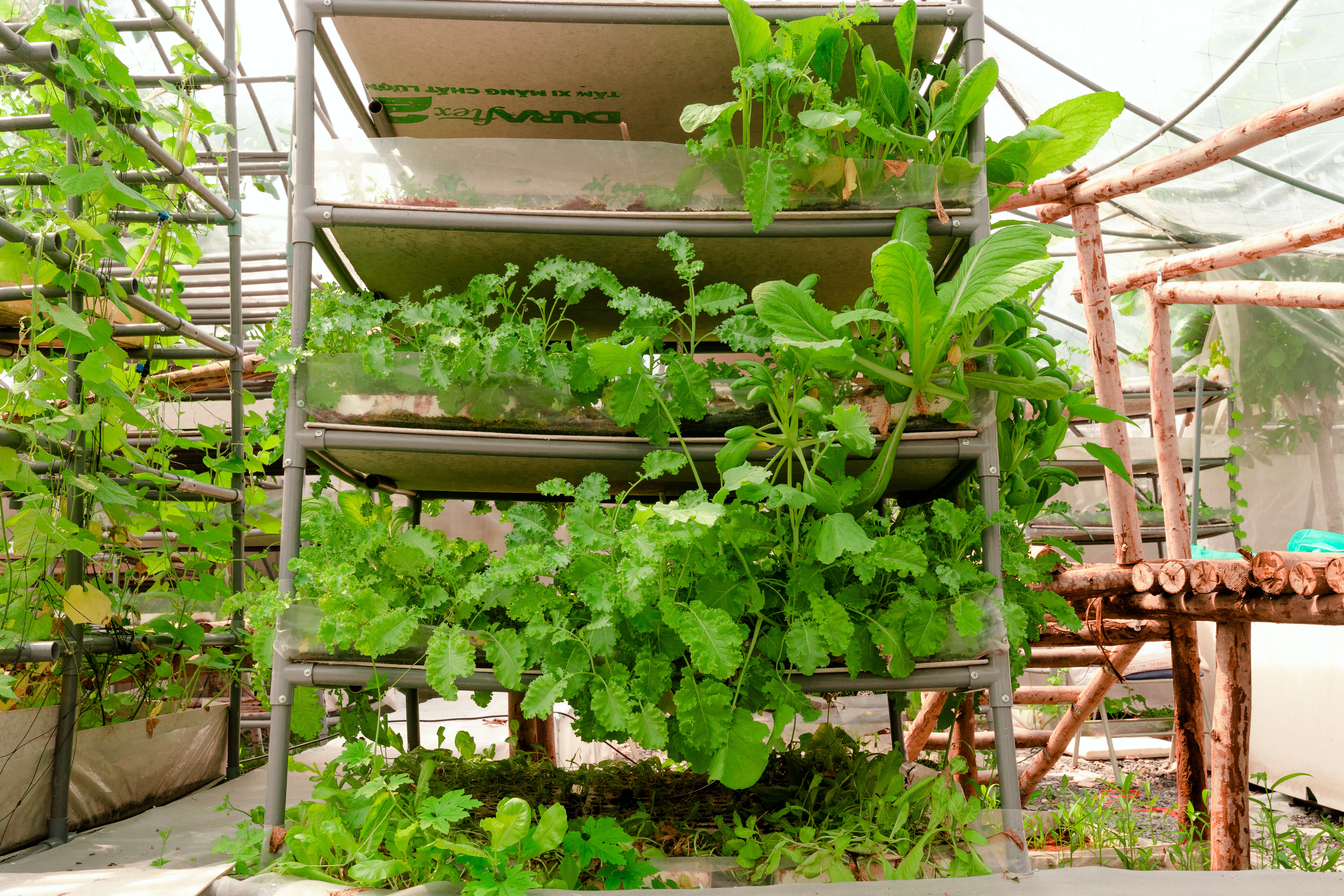 Khai truong Nhat Khe Farm-13